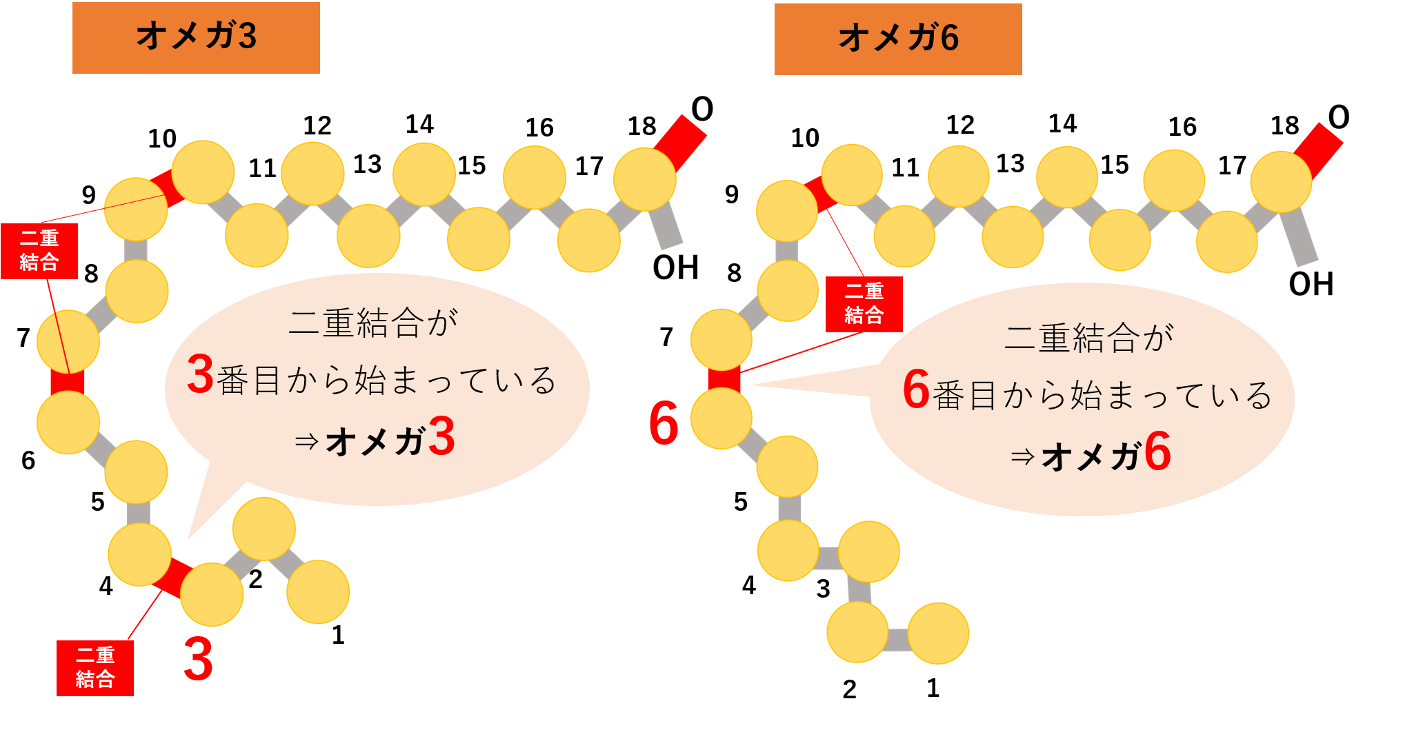 脂肪酸 と は 飽和