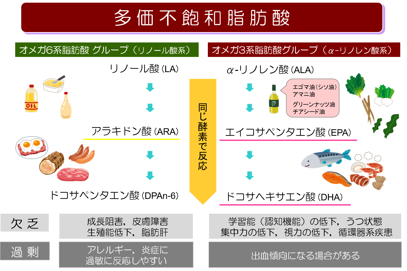 油博士コラム オメガ3とオメガ6 マルタのえごま 油博士コラム オメガ3とオメガ6 マルタのえごま